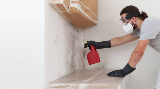 Professional Mold Removal technician working in Chester, NY
